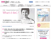 Tablet Screenshot of e-bec.com